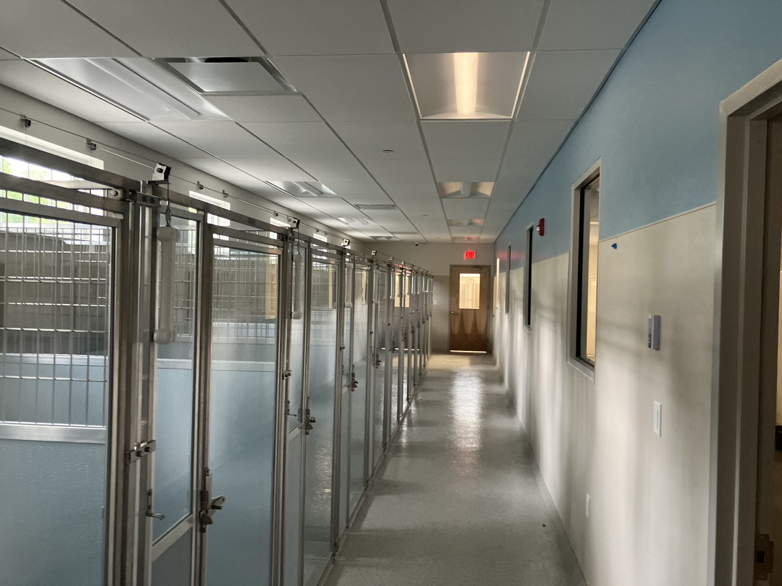 interior kennels