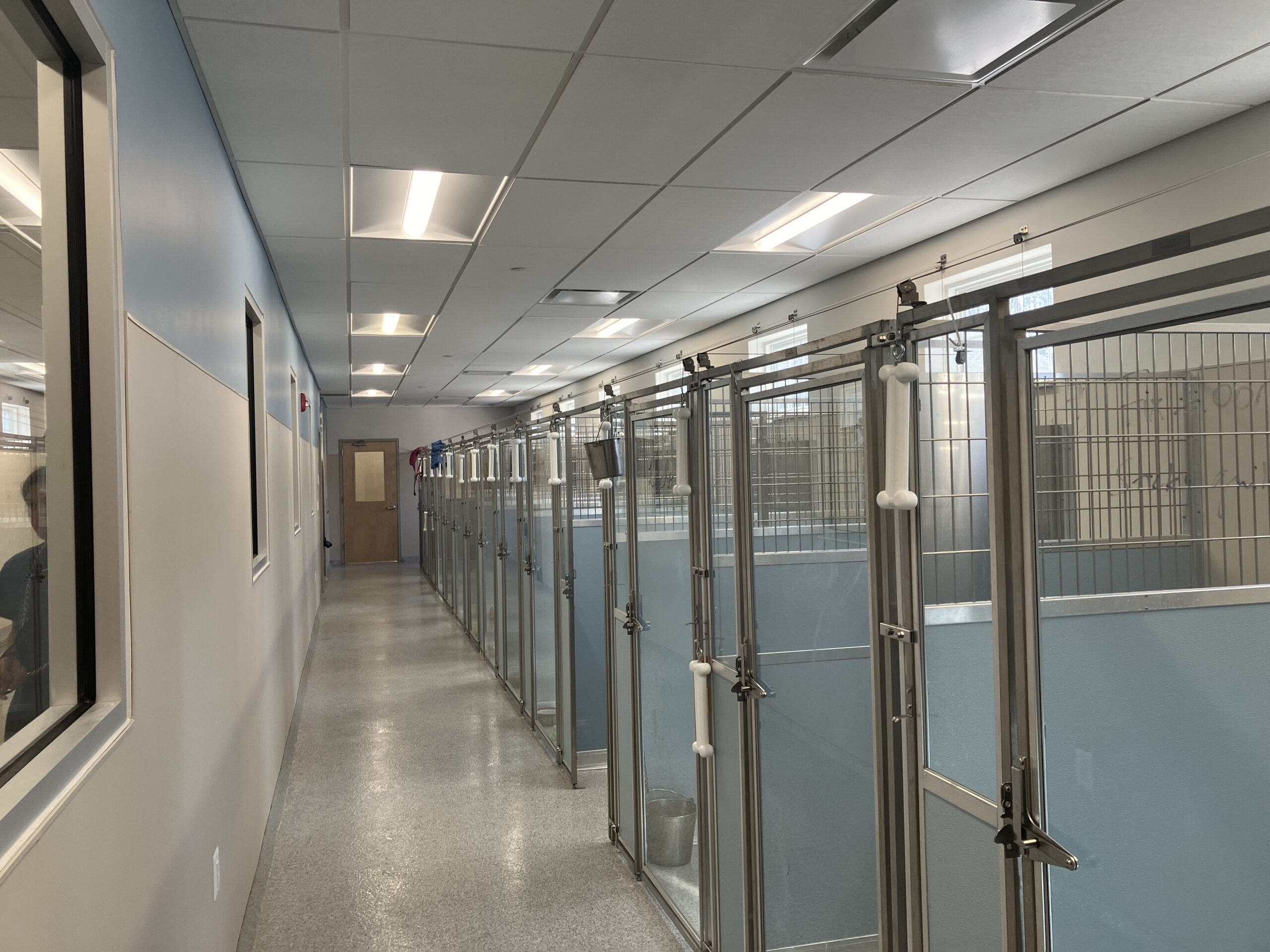interior kennel
