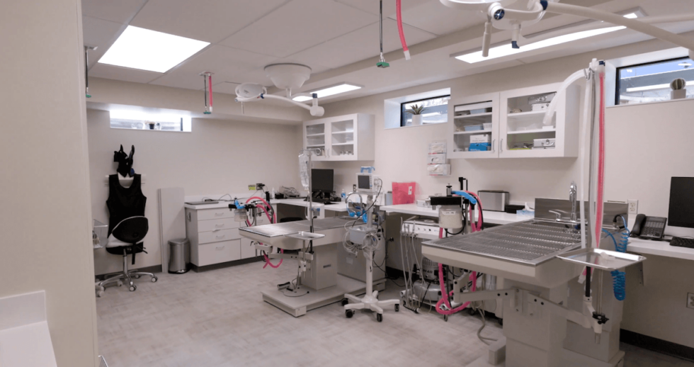 Animal Care Industry FMD Architects