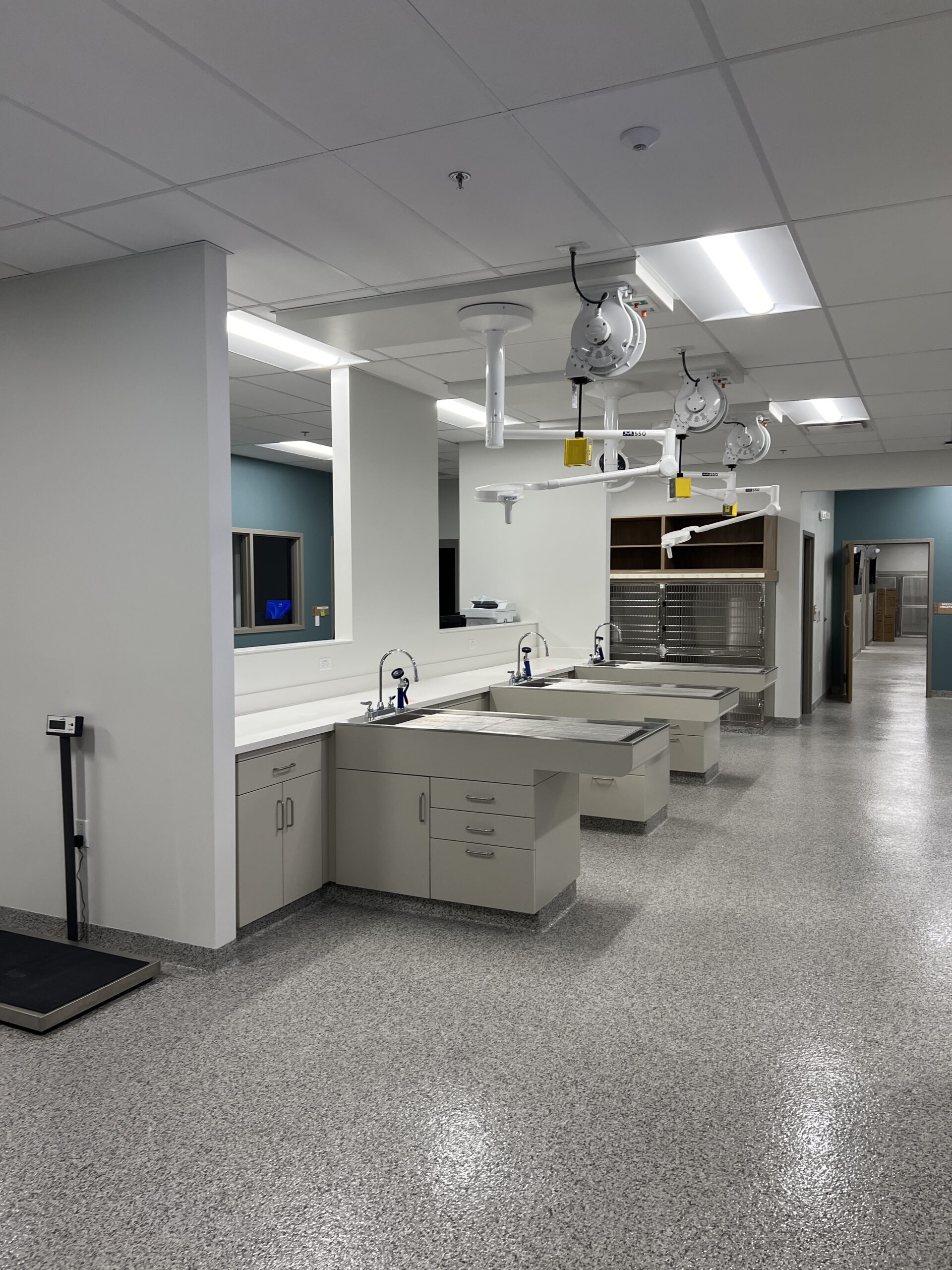 vista veterinary specialists interior