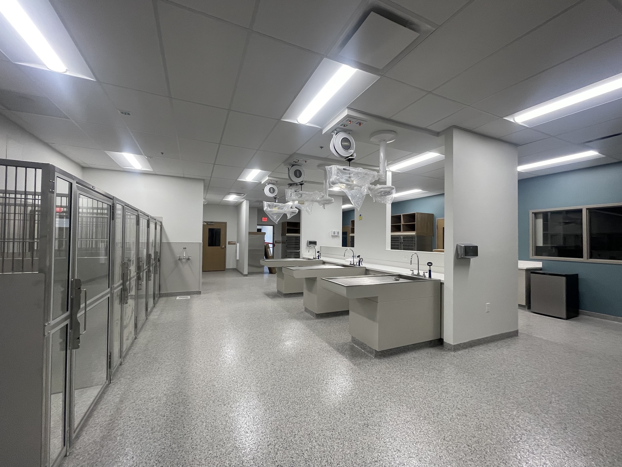 vista veterinary specialists treatment and animal holding