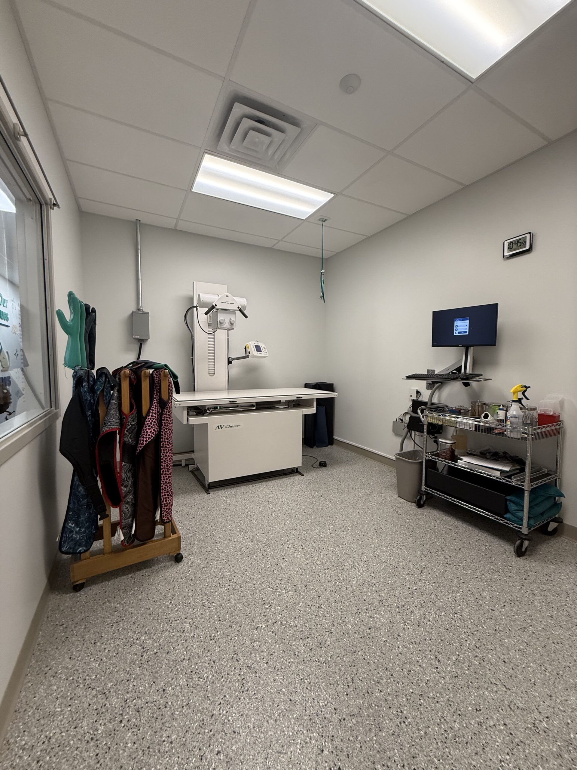 medical x ray veterinary