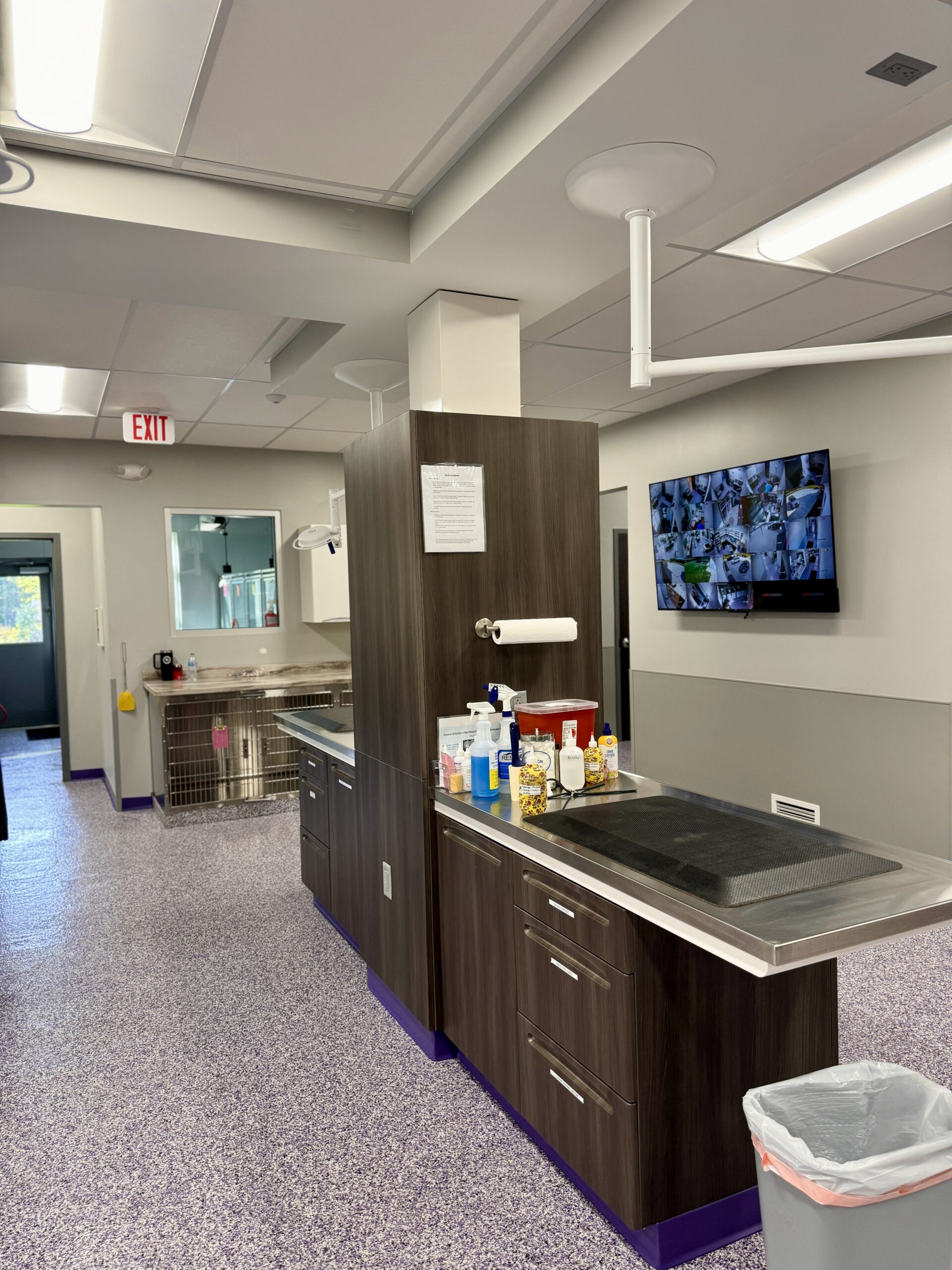 trinity veterinary hospital
