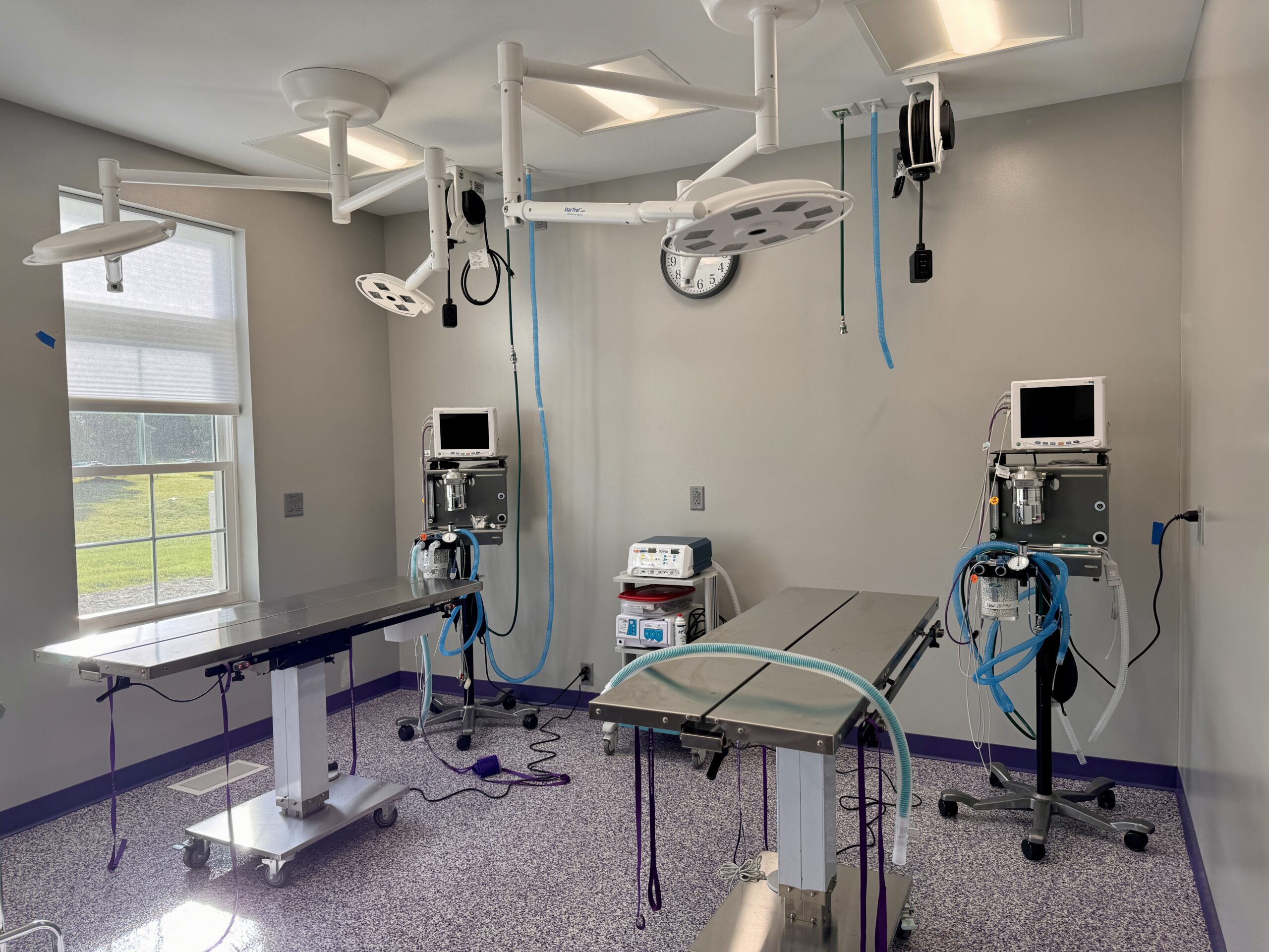 trinity veterinary hospital